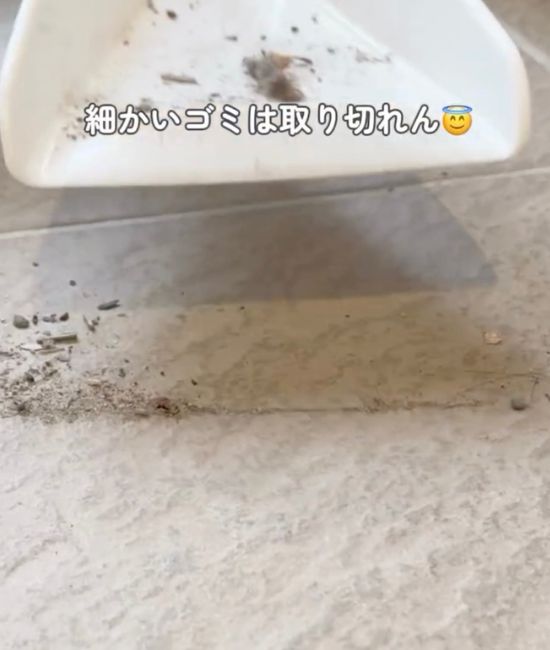 ちりとりに入らない細かなゴミの様子