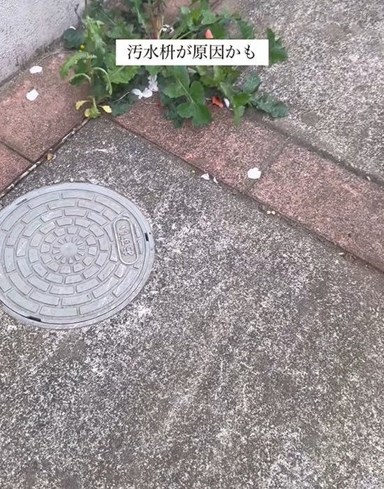 庭にある汚水枡