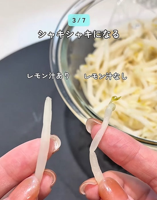 モヤシの入ったボウルの手前で、モヤシを手にしている様子