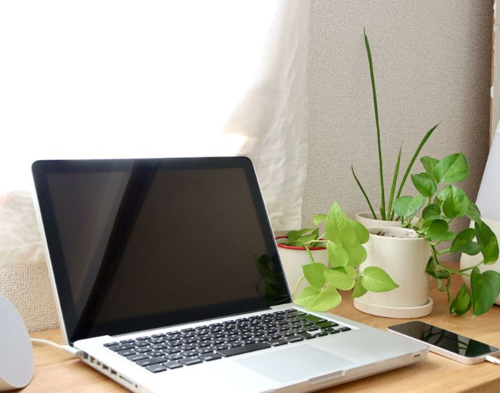 デスクに置かれたノートパソコンと観葉植物の写真