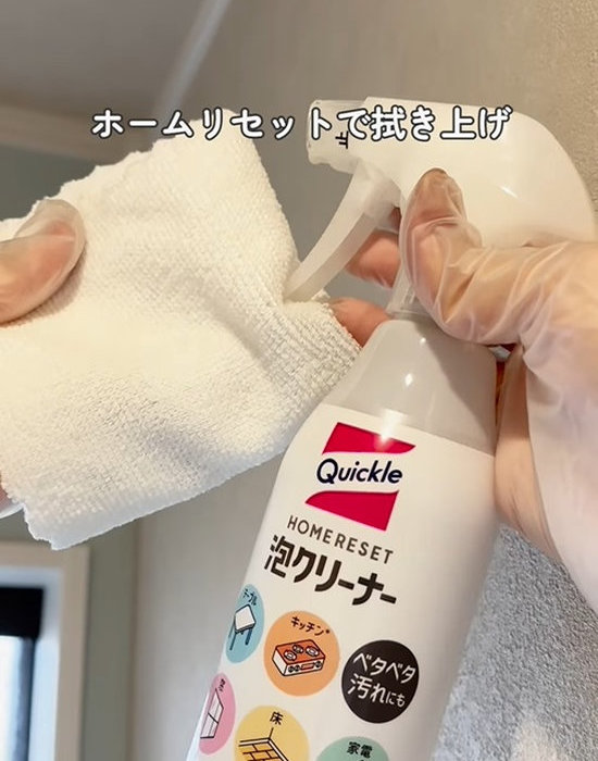 雑巾とホームリセットを手にしている様子