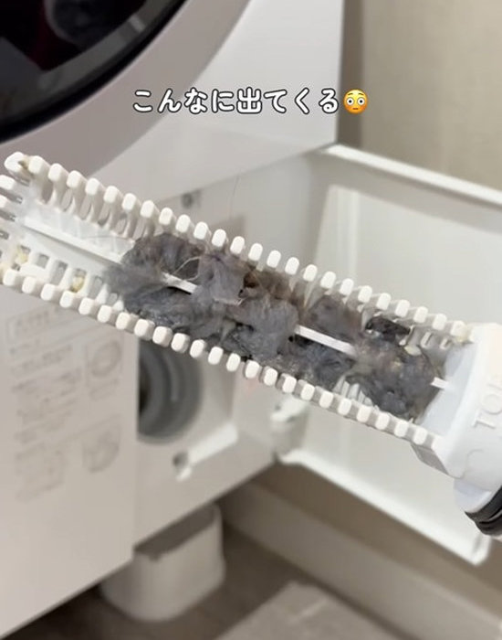 ホコリが付いた排水フィルター