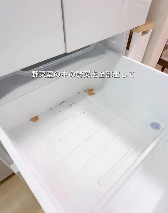 野菜を取り出し空になった状態の野菜室