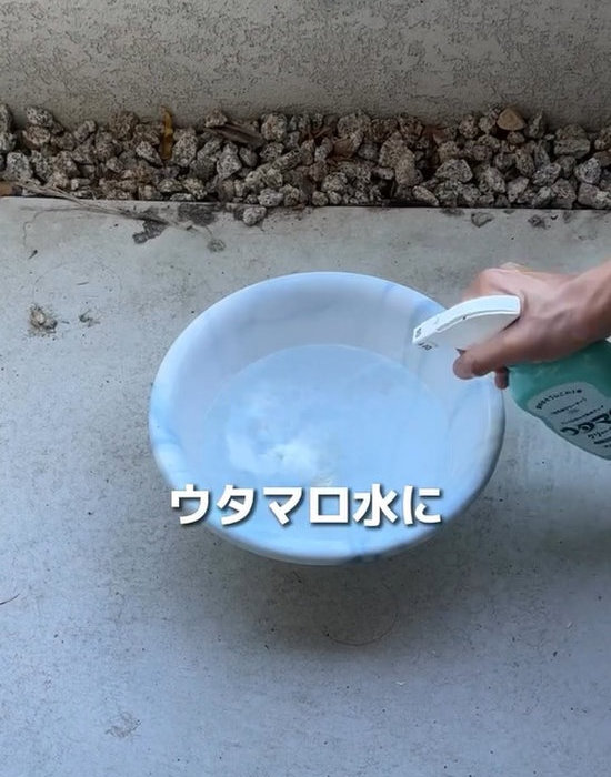 ウタマロ水を作っている様子