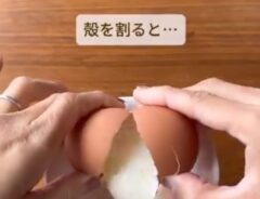 温泉卵