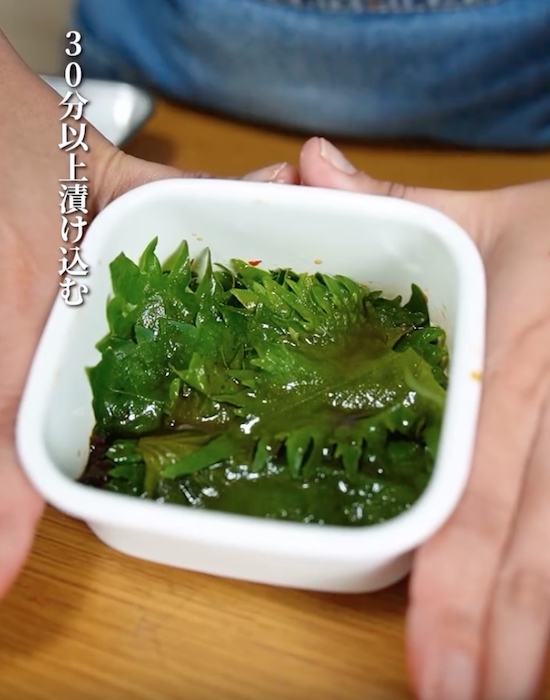 保存容器で大葉をつゆに漬け込む様子