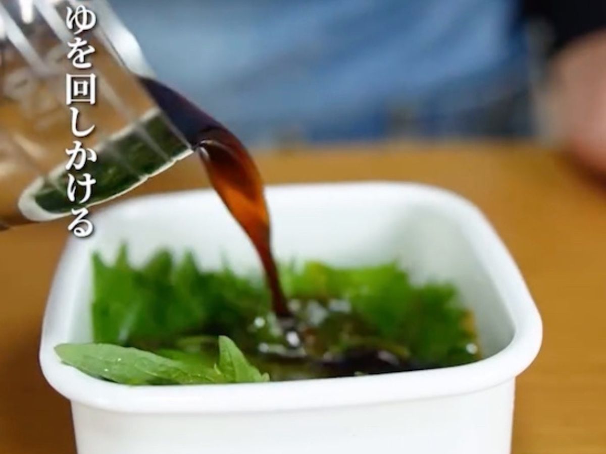 大葉
