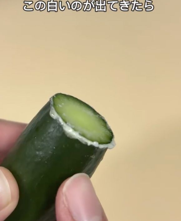 へたの切り口にキュウリのあくが付いている様子