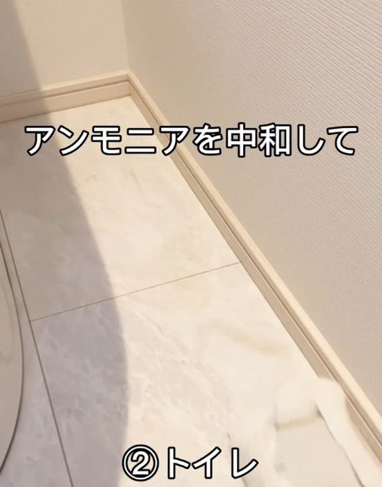 アルカリ電解水クリーナー　落ち落ちＶをトイレの床にスプレーしている様子