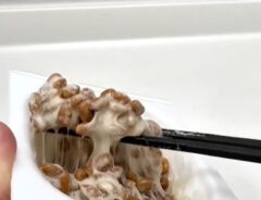 納豆