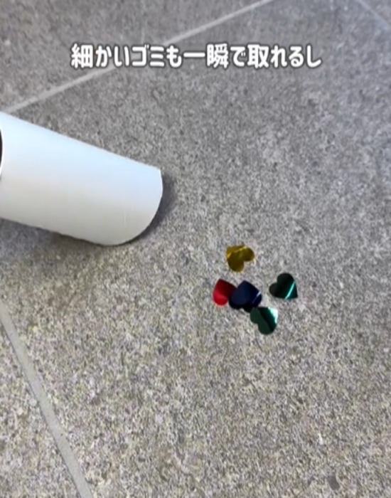 トイレットペーパーの芯の部分と玄関のゴミ