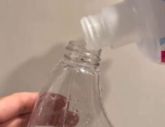 洗剤