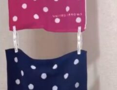 洗濯バサミ