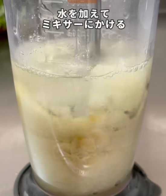 ミキサーにかけたタマネギ