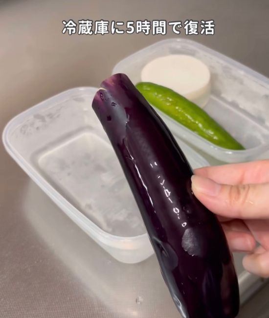 復活したナス