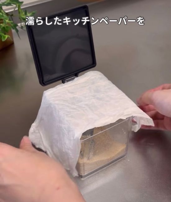 濡らしたキッチンペーパーを被せる様子