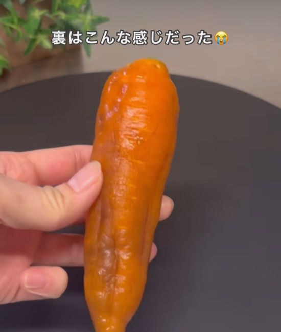 ブヨブヨのニンジン