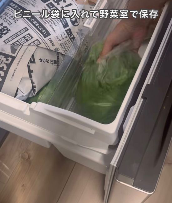 レタスを野菜室に入れる様子