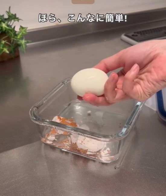 きれいに殻が剥けた卵