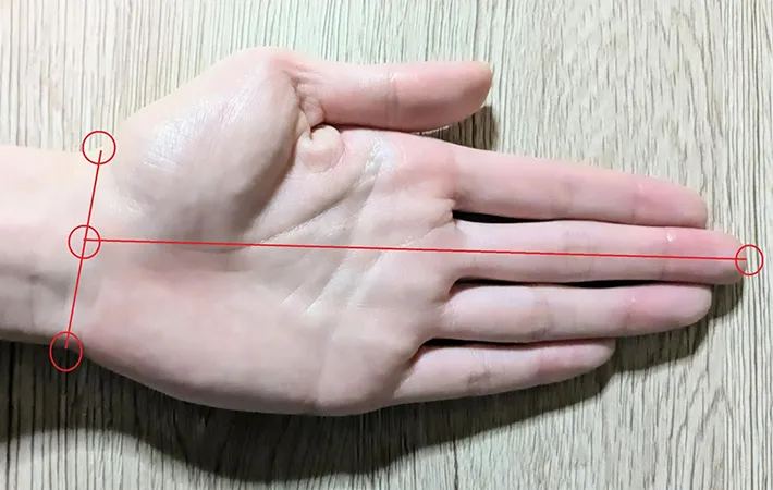茎突点（けいとつてん）から測る場合