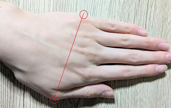 手の幅の測り方