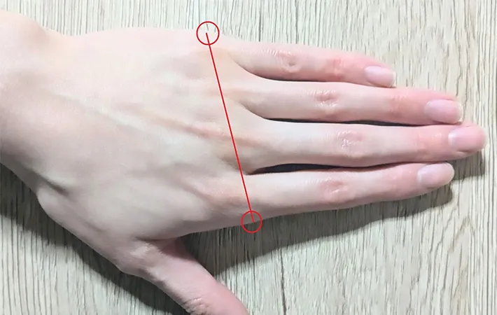 手の周囲長の測り方