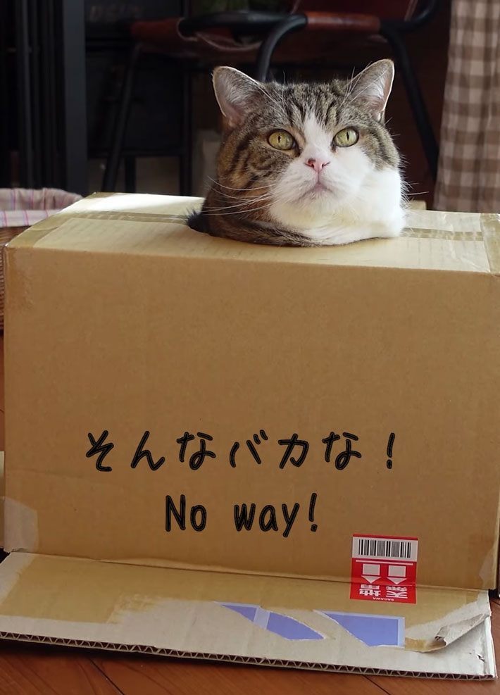 まるさん
