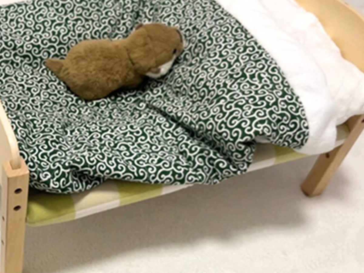 猫のベッドとぬいぐるみ