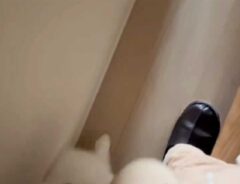 寝室を歩く飼い主と愛犬