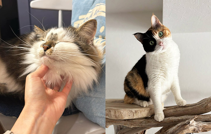 ラヴィくんと、すももちゃん