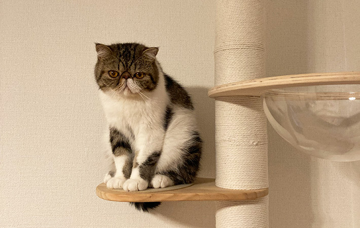 小四郎くん