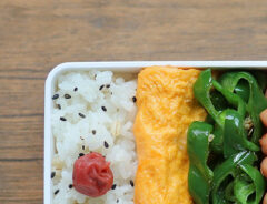 お弁当の写真