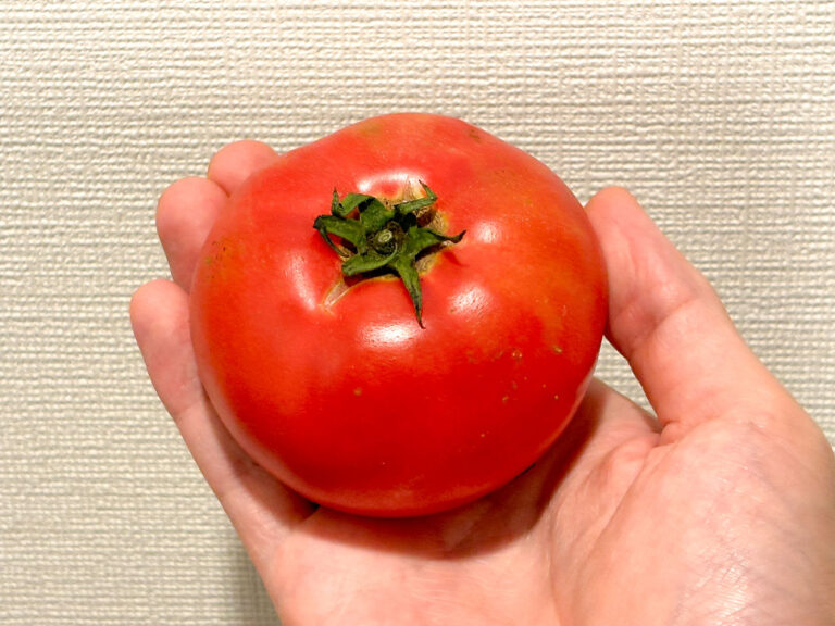 トマトの写真