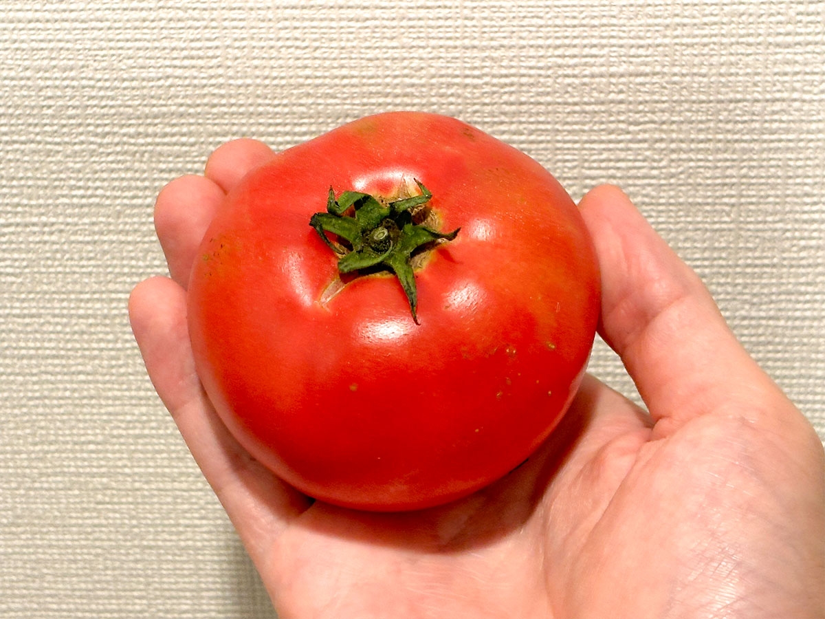 トマトの写真