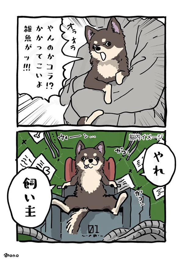 チワワあるあるの漫画