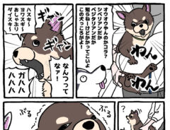 チワワあるあるの漫画