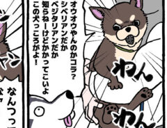 チワワあるあるの漫画