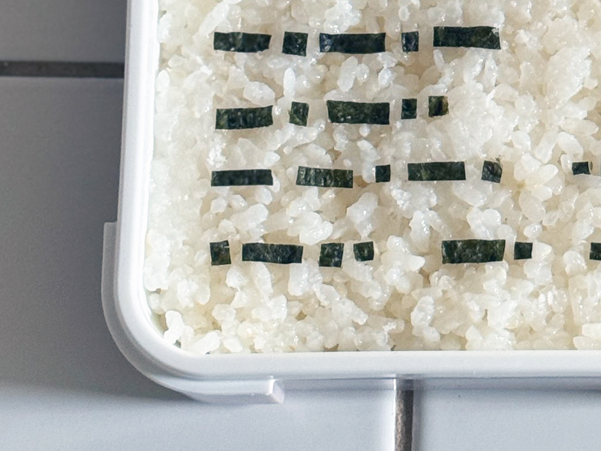 弁当の写真