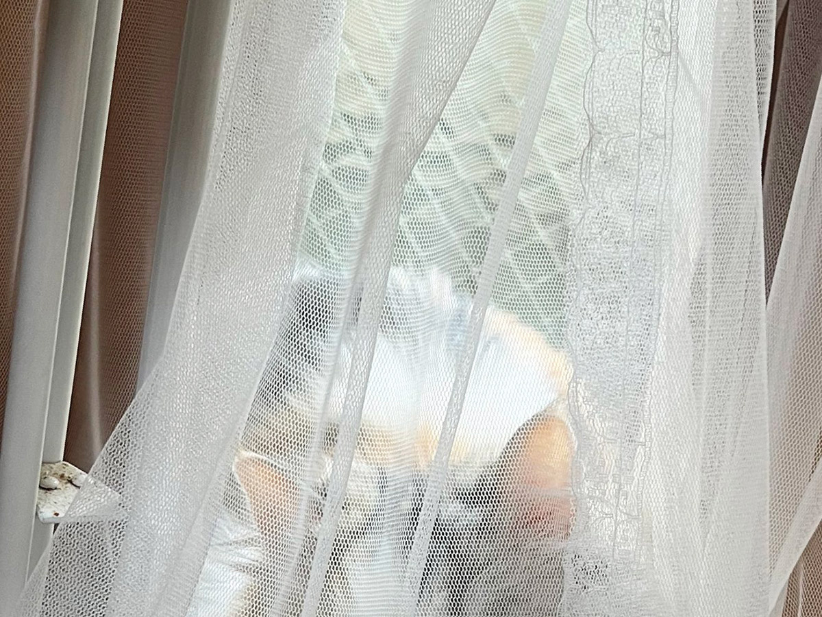 猫のめるちゃん