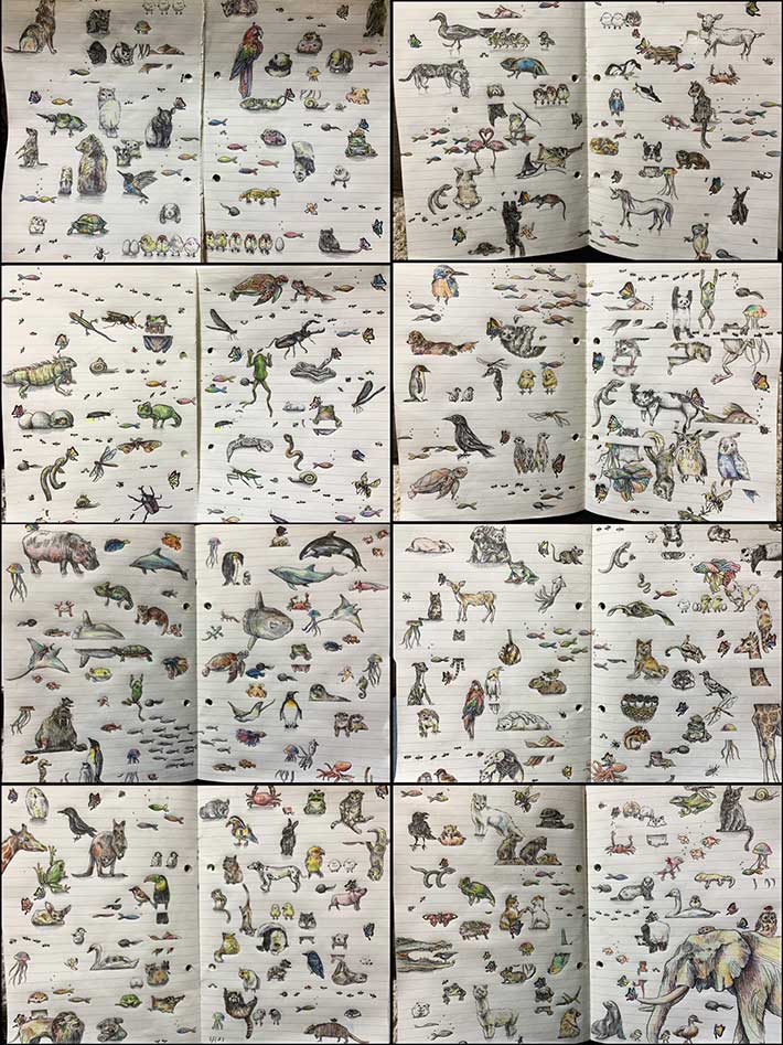 動物の絵
