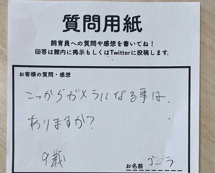 飼育員への質問