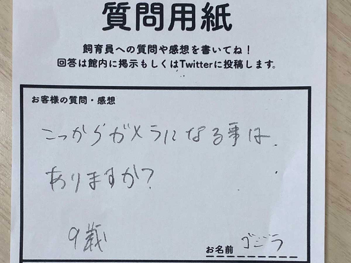 飼育員への質問