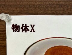 『物体X』に関する投稿写真