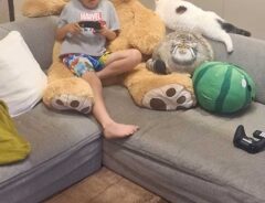 猫と子供の写真