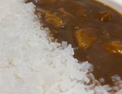 こんにゃくカレー