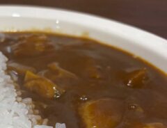 こんにゃくカレー