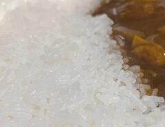 こんにゃくカレー