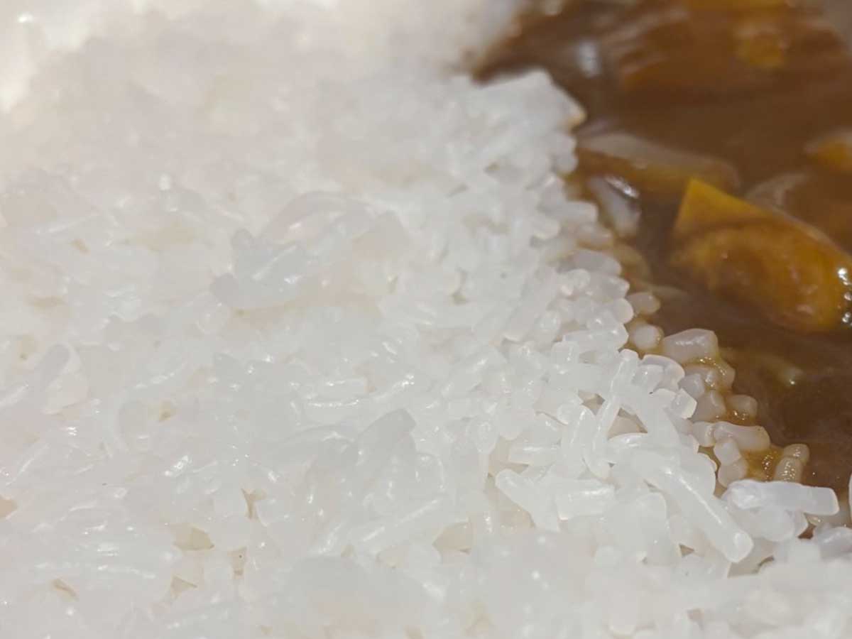 こんにゃくカレー