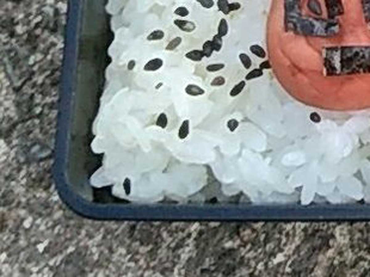 弁当の写真