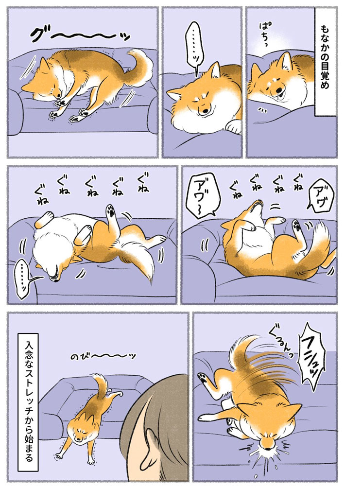 さかぐちまやさんの漫画の画像